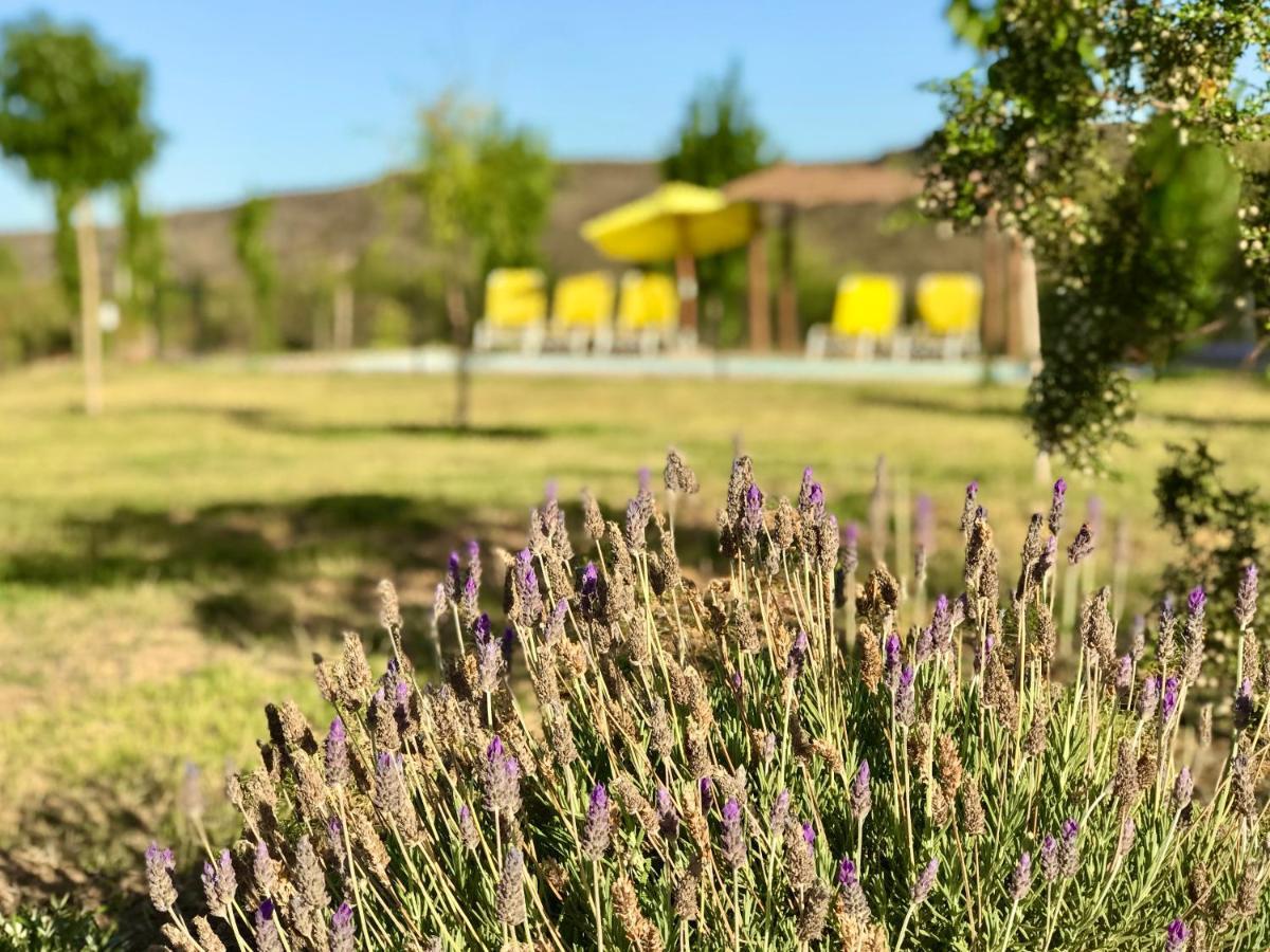 Cabanas Econature Valle Grande  Zewnętrze zdjęcie