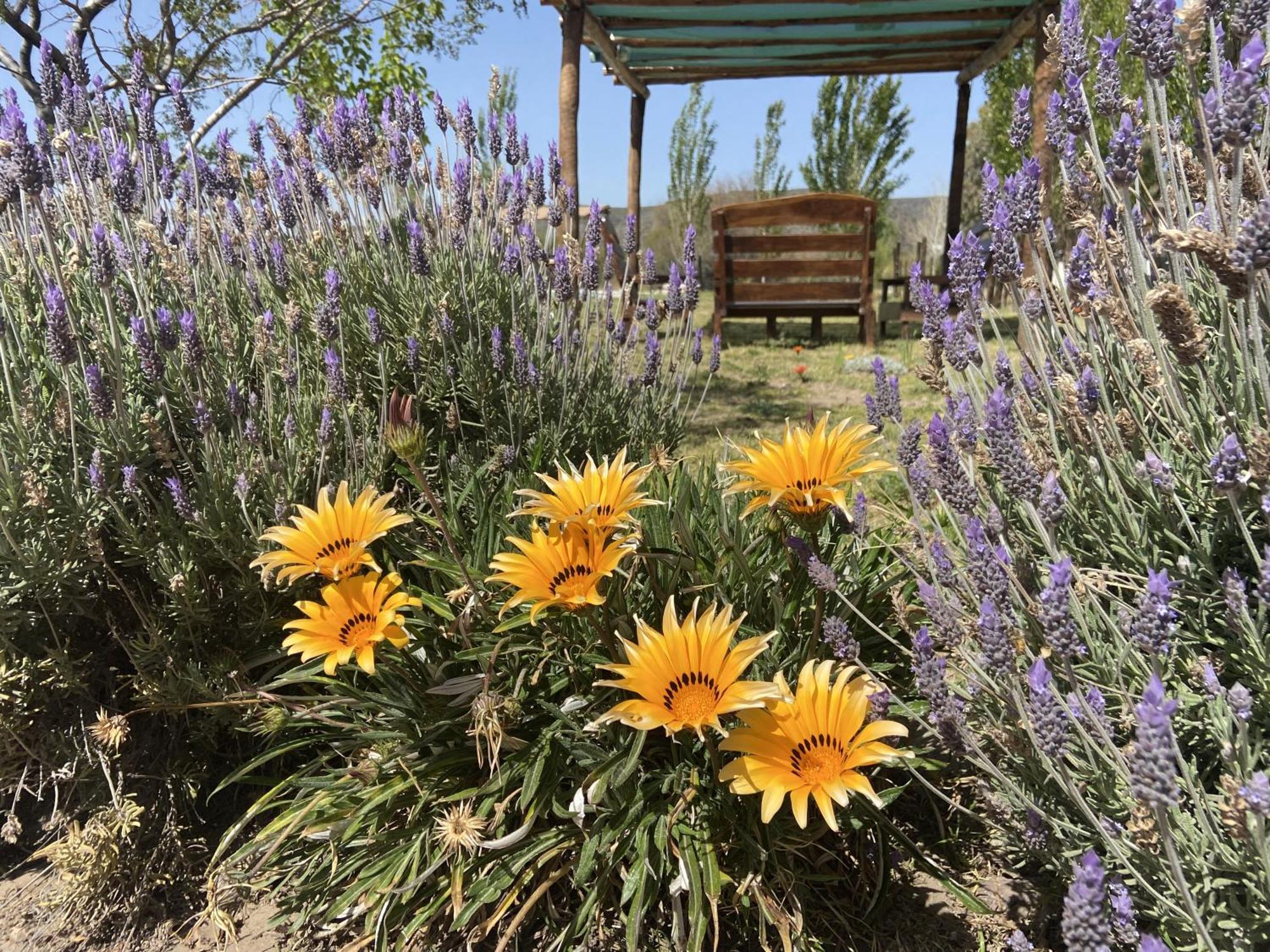 Cabanas Econature Valle Grande  Zewnętrze zdjęcie